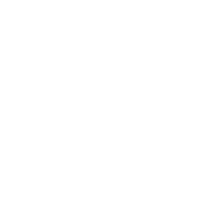 MyWed logo