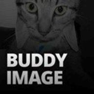Buddy Image logo