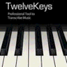 TwelveKeys logo
