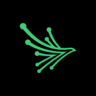 Black Kite risk management logo