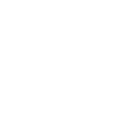 InternetMarketingNinjas Webpage Meta Analyzer logo