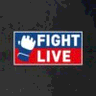 Fightlive.cz logo