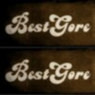 Bestgore logo