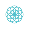 Snowball Wealth logo