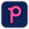 Plug Pagamentos logo