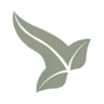 Voitex - Text to Speech logo