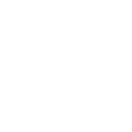 Loyverse Advanced Inventory logo