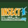 Insect Identification logo