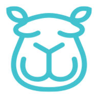 Content Camel logo