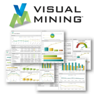 Visual Mining logo