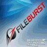 Fileburst logo