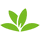 PlantSnap Pro icon