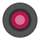 Instant Demo icon