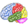 Brain Workshop logo