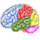 Evolution Brain Training icon
