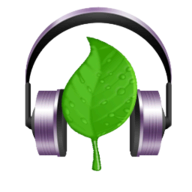 Natura Sound Therapy logo
