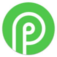 Payid19.com logo