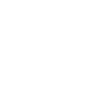 JSON Parser logo