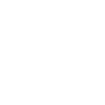 JSON Parser