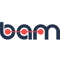 Bam Fan logo