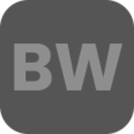 BestWatch logo