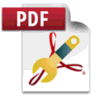 PDF to X logo