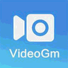 videogm logo
