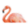 Flamingo TPM logo