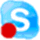 SaltyBeer Skype Recorder icon
