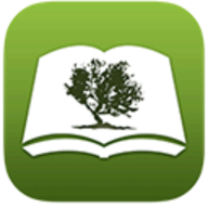 Bible by Olive Tree logo