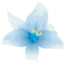 Axiechan logo