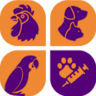 PetVet Pakistan logo