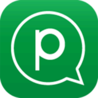 Pinngle Safe Messenger logo