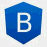 NG-Bootstrap logo