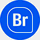 BypassDM icon