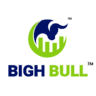 Bigh Bull logo