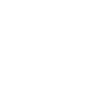 Zonos Platform logo