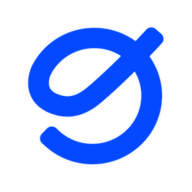 Loopin With Chrome logo