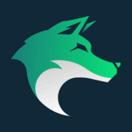 RSocks.net logo