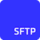 Progress WS_FTP icon
