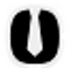 Pyno logo