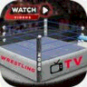 Wrestling Tv logo