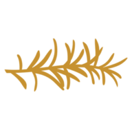 Barfecto logo