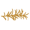 Barfecto logo