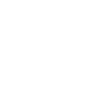 Video Lounge logo