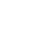 Notion Live Icons logo