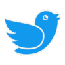 TwitterVideoDownload.com logo