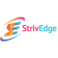 StrivEdge Technolabs Pvt. Ltd. logo
