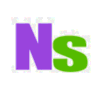 NeuralStyler logo