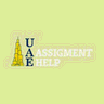 UAE Assignment Help icon